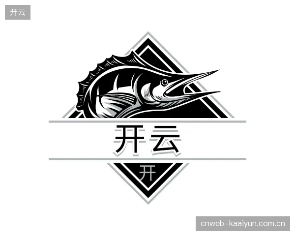 解读开云官网